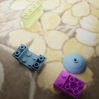 Dataset Image