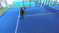 ballgroundtruth project thumbnail