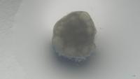 microtissue project thumbnail