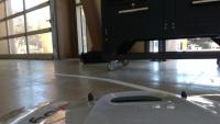 Student 11 project thumbnail