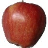 appleorcorn project thumbnail