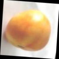 dataset_tomat project thumbnail