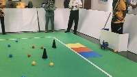 Dataset Image