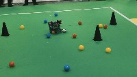 Dataset Image