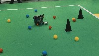 Dataset Image