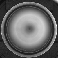test_marelli_segmentation_ds8 project thumbnail