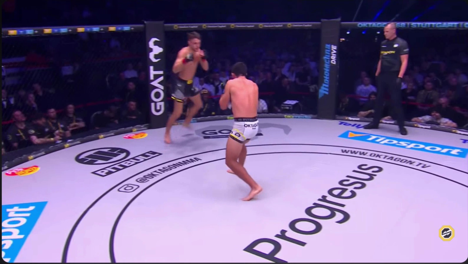 MMA Detection Object Detection Dataset by MMAFighterDetection