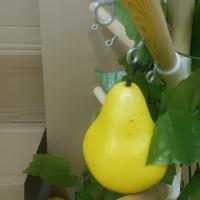 fruit project thumbnail