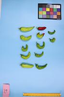 pepper-fruit-seg-onboard-2026a project thumbnail