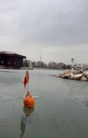 balbademkaymak project thumbnail