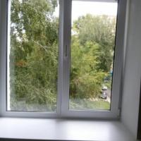 Windows_dataset Object Detection Model by DogFace