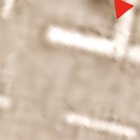 Drone_vision_label_1.1 project thumbnail