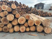wood_surface project thumbnail
