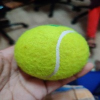 Dataset Image