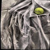 Dataset Image