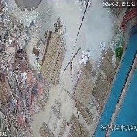 Dataset Image