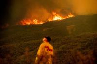 Find fires project thumbnail