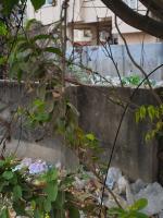 cuscuta_detection project thumbnail