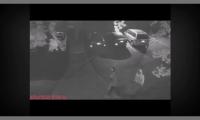 pedestrians project thumbnail