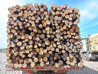 timber-log-v1 project thumbnail