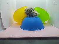 Edible Bird Nest project thumbnail