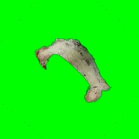Dataset_Walet project thumbnail