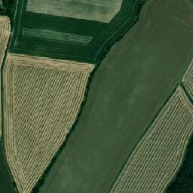 My First Project Instance Segmentation Dataset by YOLOv8based