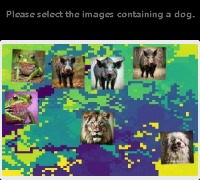 Dataset Image