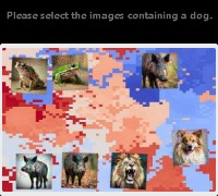 Dataset Image