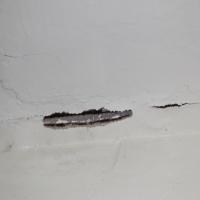 Crack-Rebar project thumbnail