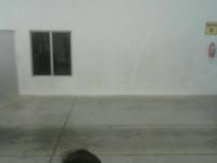 negativesample project thumbnail