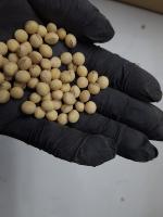 01_CropSeeds project thumbnail