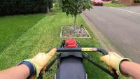 Segmentation For Grass project thumbnail
