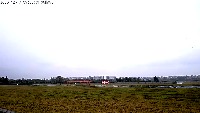 Bird Detection project thumbnail