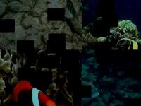 Detection net project thumbnail