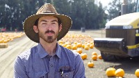 pumpkin dectector project thumbnail
