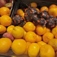 food detection project thumbnail