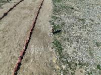 merged_project project thumbnail