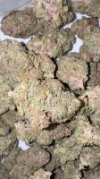 Bunch bud seg project thumbnail