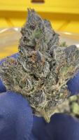 Cannabis_Production_Master project thumbnail