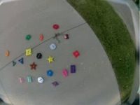 Dataset Image