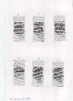 LabelDetection project thumbnail