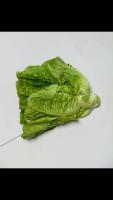 lettuce classification  project thumbnail