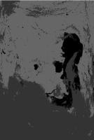 Stubble Burn& Wildfire Detection project thumbnail