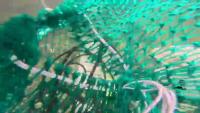 Marine debris Detection project thumbnail