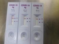 covid_yolo_dataset project thumbnail