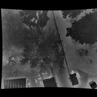 bambi-bounding_box-20250523 project thumbnail