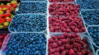 Fruits, Veggies, Berries project thumbnail