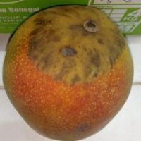 Mango project thumbnail