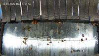 DT 13-11-2025 14.42 project thumbnail
